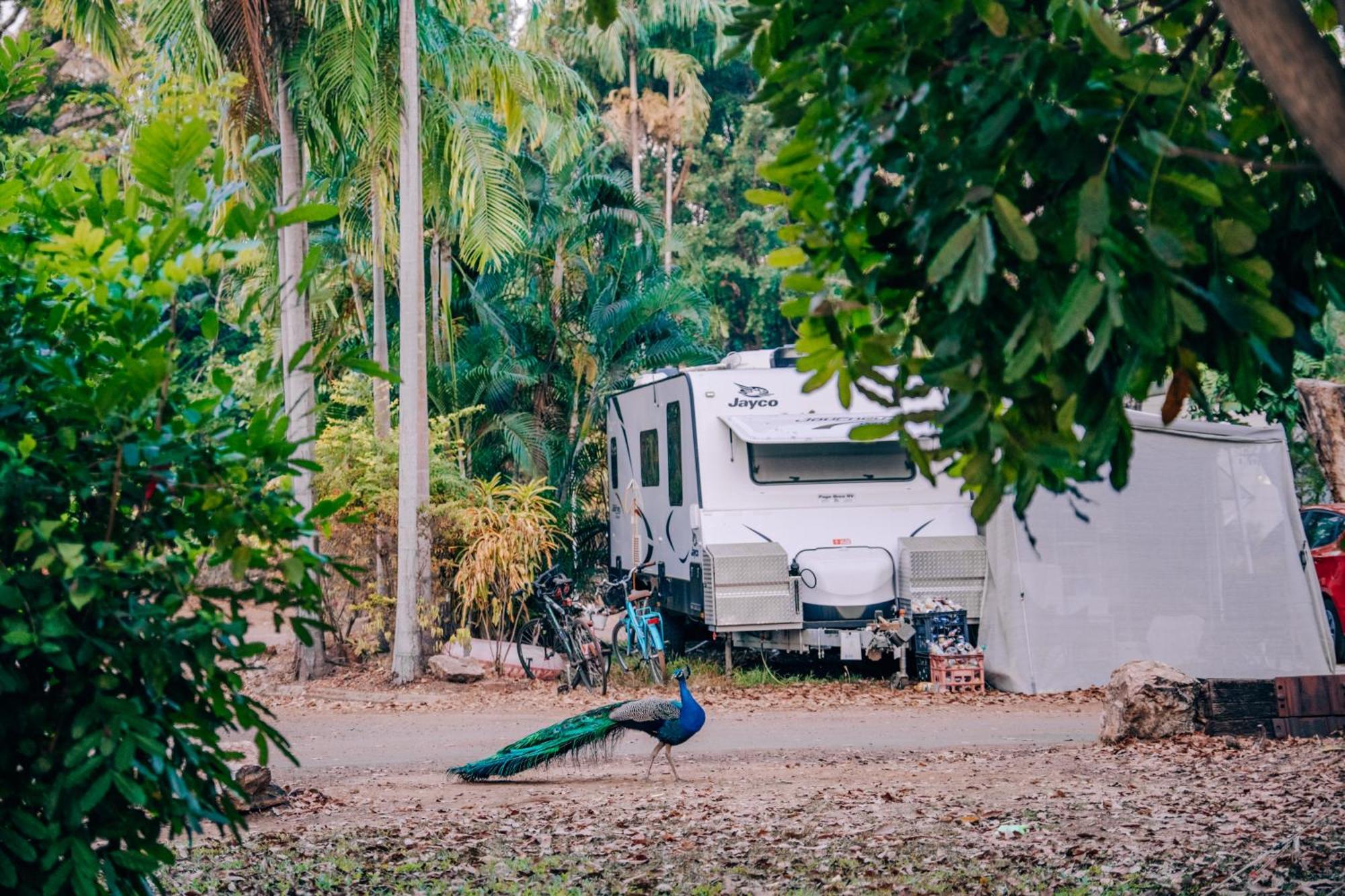 Big4 Howard Springs Holiday Park Darwin Exterior photo
